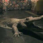 Hyperrealism Meets Queer Futurism at NADA Miami