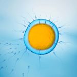 IVF success may depend on how long men abstain from ejaculation