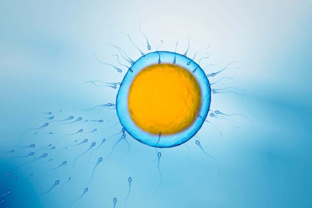 IVF success may depend on how long men abstain from ejaculation