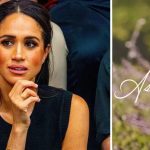 Inside Meghan Markle’s ‘Ultimate Mortification’ Over Brand Flop