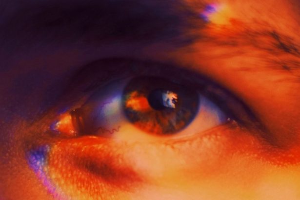 Is The Y Chromosome Vanishing? A New Sex Gene May Be The Future of Men : ScienceAlert