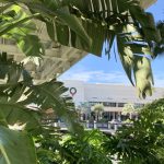 J&J’s two-drug combo blocked tumors in advanced multiple myeloma