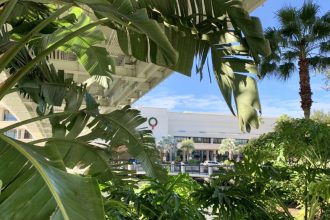 J&J’s two-drug combo blocked tumors in advanced multiple myeloma