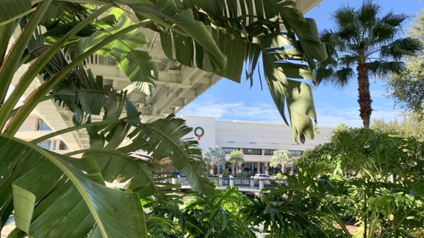 J&J’s two-drug combo blocked tumors in advanced multiple myeloma