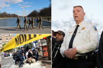 Jeffery Carroll named interim DC police chief days after agency accused of fudging crime data