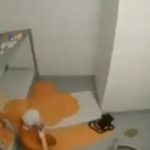 Jeffrey Epstein Video Purportedly Shows Him Trying To Kill Himself: DOJ