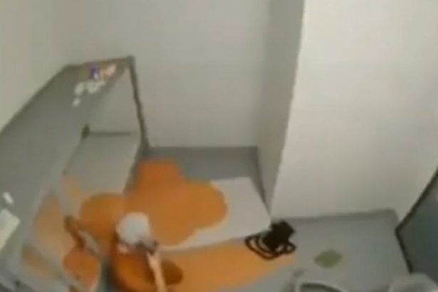 Jeffrey Epstein Video Purportedly Shows Him Trying To Kill Himself: DOJ