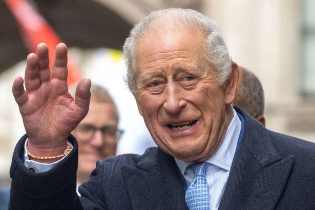 King Charles Cancer Treatments Will Be ‘Reduced’ In New Year