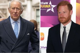King Charles Issued Brutal Ultimatum to Harry Over Meghan Return