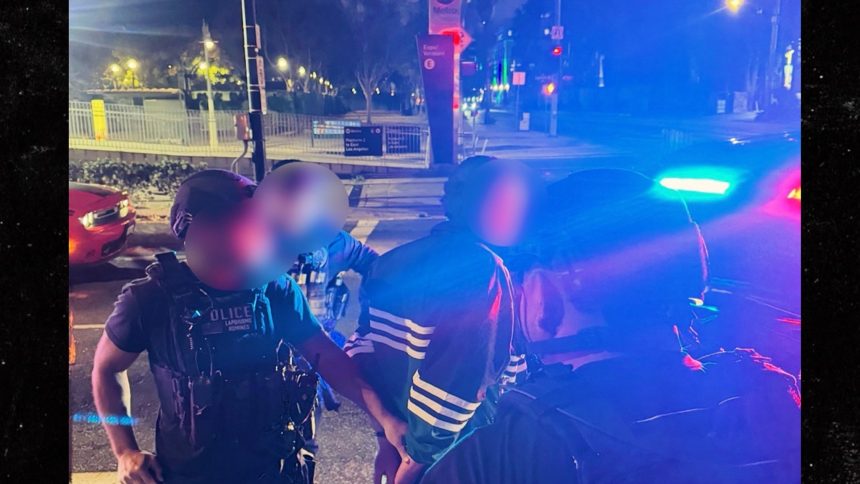 LAPD Releases Nick Reiner Arrest Photos in Murders of Rob & Michele Reiner