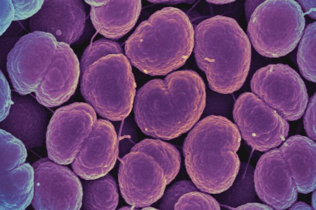 Lancet study shows new antibiotic effective against gonorrhea
