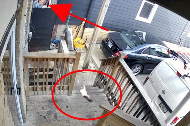 Logan Square woman gets nearly 3 years in prison for firebombing Venezuelan neighbors’ home