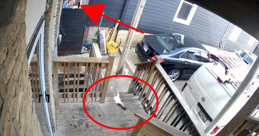 Logan Square woman gets nearly 3 years in prison for firebombing Venezuelan neighbors’ home