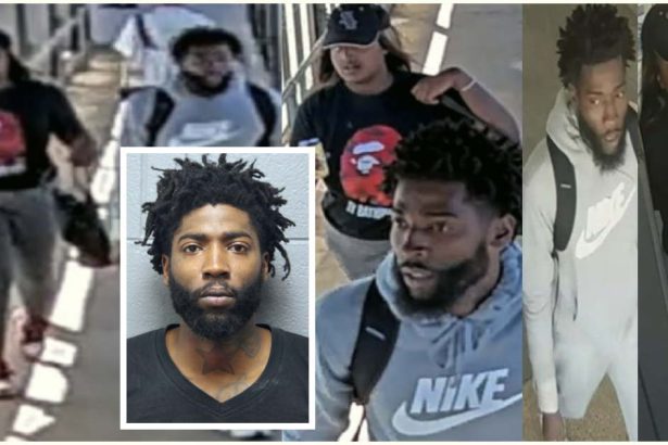 Man gets 13 years for hammer attack and robbery on CTA Blue Line platform