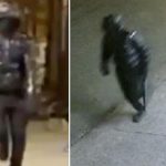 Maniac hit stranger in face with baseball bat in Manhattan