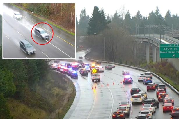 Maniac on meth carjacks trooper’s patrol cruiser on Seattle freeway