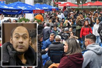 Maniac who randomly slapped boy, 6, outside Bryant Park’s Winter Village has 17 prior busts: cops