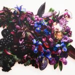 Mason Pott’s Bold Bouquets Take a Hyperrealist Approach to the Still Life — Colossal