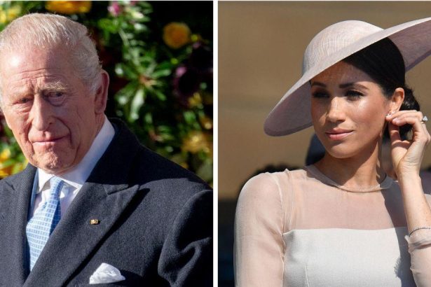 Meghan Markle Accused of ‘Hijacking’ King’s’ Cancer Update