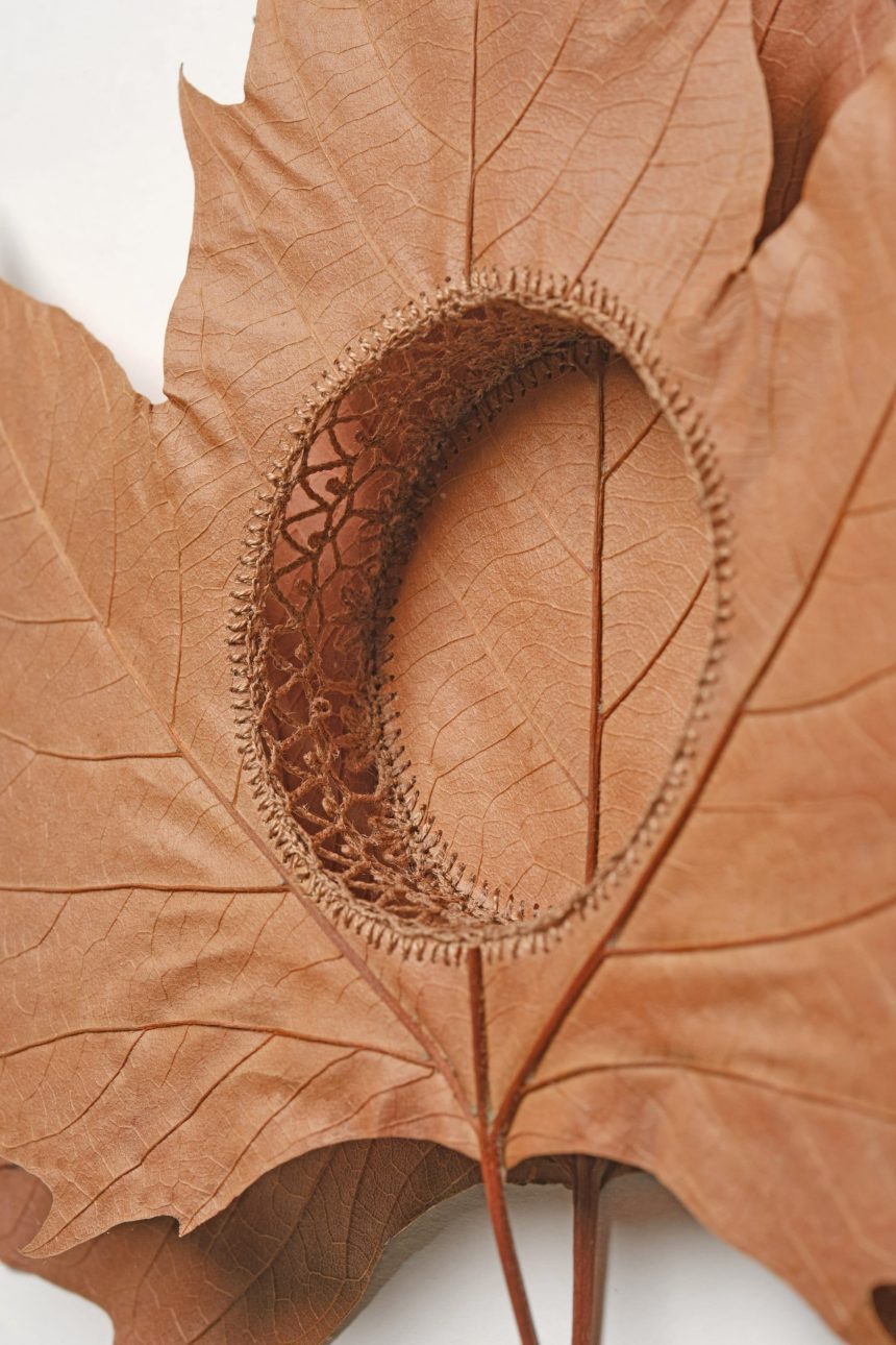 Meticulously Stitched Leaves Transform into Tender Sculptures by Susanna Bauer — Colossal