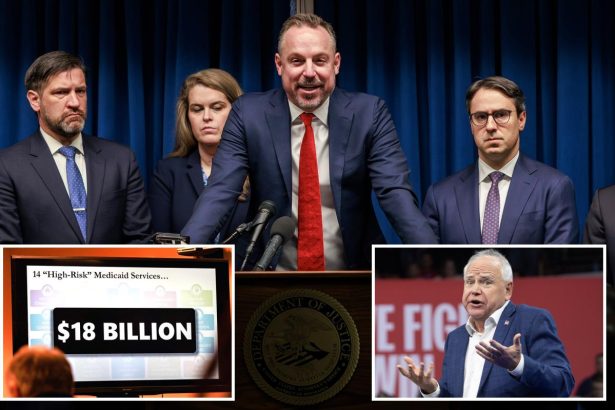 Minn.’s social-services scammers may have stolen  billion