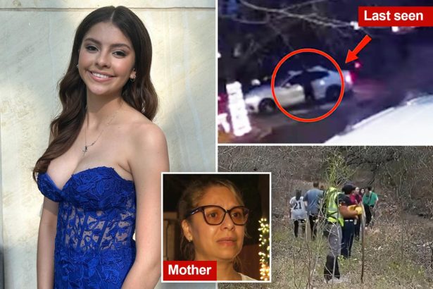 Missing Texas teen Camila Mendoza Olmos feared in ‘imminent danger’ after Christmas Eve disappearance