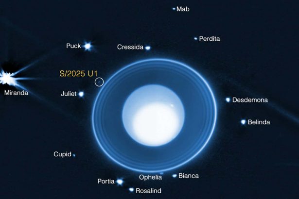 More than 100 moons were discovered in our own solar system in 2025