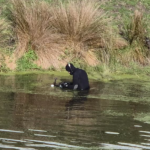 Mum’s pleas unanswered before boy found in pond