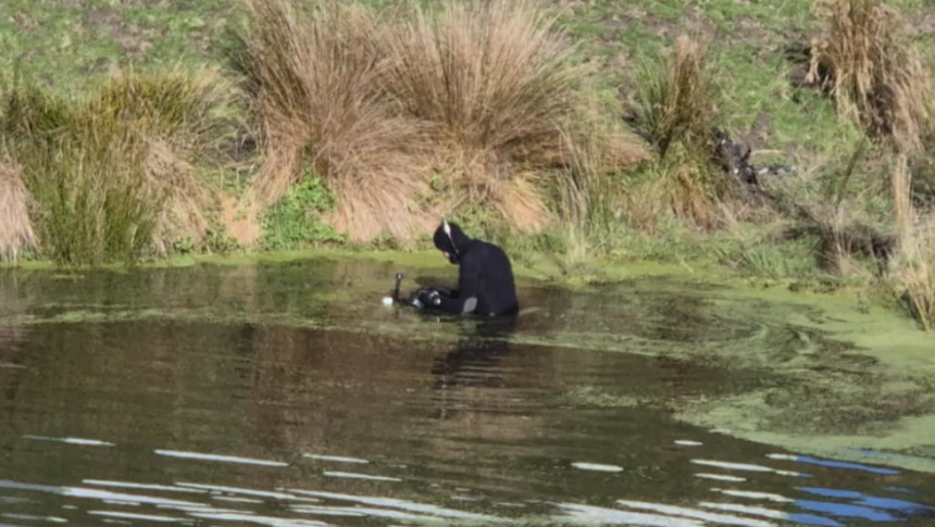 Mum’s pleas unanswered before boy found in pond