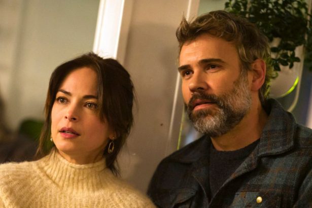 Murder in a Small Town Season 2 Finale Explained After Karl’s Proposal