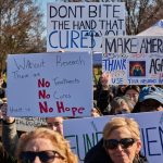 NIH Awarded 22% Fewer Grants In 2025, A 24% Drop In Cancer Research