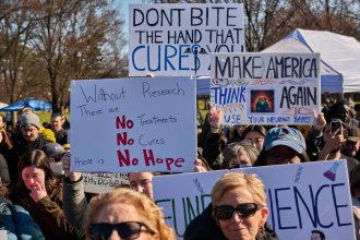 NIH Awarded 22% Fewer Grants In 2025, A 24% Drop In Cancer Research