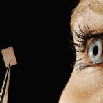 NXP Semiconductors (NXPI) Surges 8% Ahead of Ex-Dividend Date