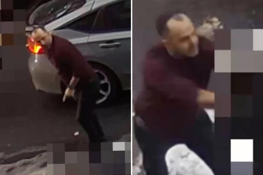 NYPD looking for brute who smashed 10-year-old boy’s head into car windshield