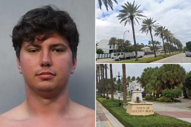 Naked Florida man Vladimir Demidovich arrested for Christmas burglaries in Golden Beach