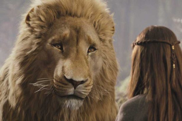 Narnia: The Magician’s Nephew Potential Release Date, Cast, Plot and News