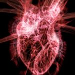 Nearly Half of All Heart Attacks May Be Missed by Current Screening Tools : ScienceAlert