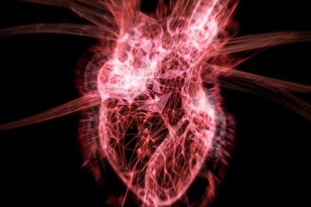 Nearly Half of All Heart Attacks May Be Missed by Current Screening Tools : ScienceAlert