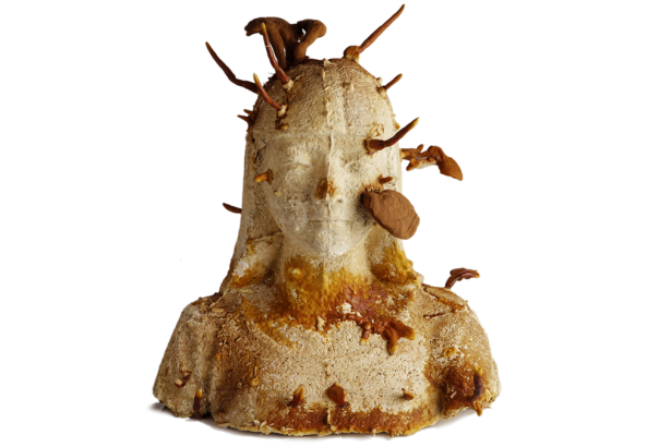 Nevada Museum of Art Presents the 2026 Art + Environment Summit: Under Pressure