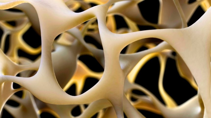New Breakthrough to Strengthen Bone Could Reverse Osteoporosis : ScienceAlert
