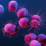 New antibiotic could stave off drug-resistant gonorrhoea