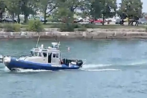 New findings shed light on deaths of woman and children found in Lake Michigan