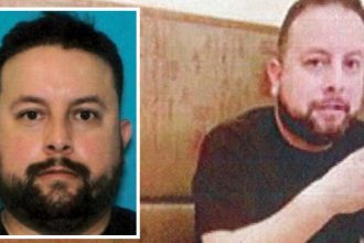 O’Hare-based customs agent described as ‘serial rapist’ in federal complaint (Full Update)