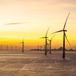 Offshore Wind Farm in China Becomes a Haven for Oysters, Barnacles, and More, Study Finds