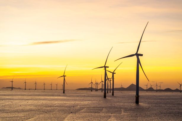 Offshore Wind Farm in China Becomes a Haven for Oysters, Barnacles, and More, Study Finds