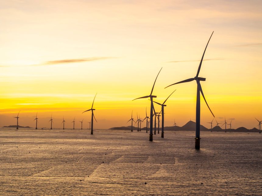 Offshore Wind Farm in China Becomes a Haven for Oysters, Barnacles, and More, Study Finds