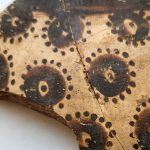 Oldest Known Botanical Art Reveals Early Mathematical Thinking : ScienceAlert