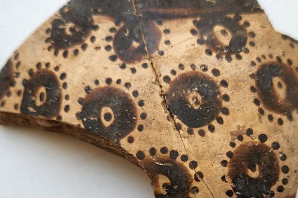 Oldest Known Botanical Art Reveals Early Mathematical Thinking : ScienceAlert