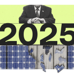 One word sums up climate politics in 2025: Greenlash