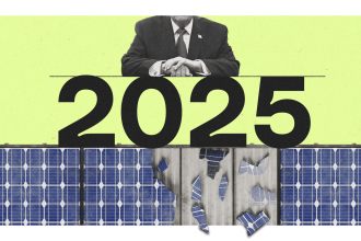 One word sums up climate politics in 2025: Greenlash